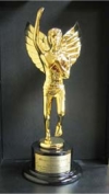 Association of Marketing and Communications Professionals (AMCP) Hermes Awards